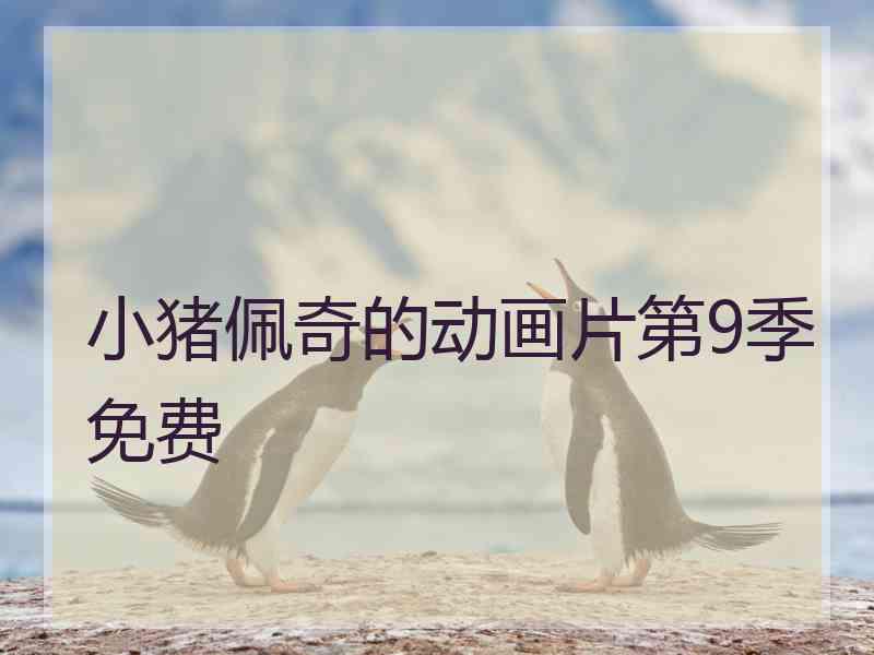 小猪佩奇的动画片第9季免费