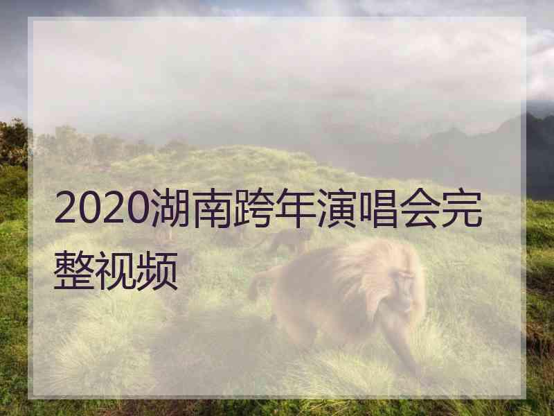 2020湖南跨年演唱会完整视频