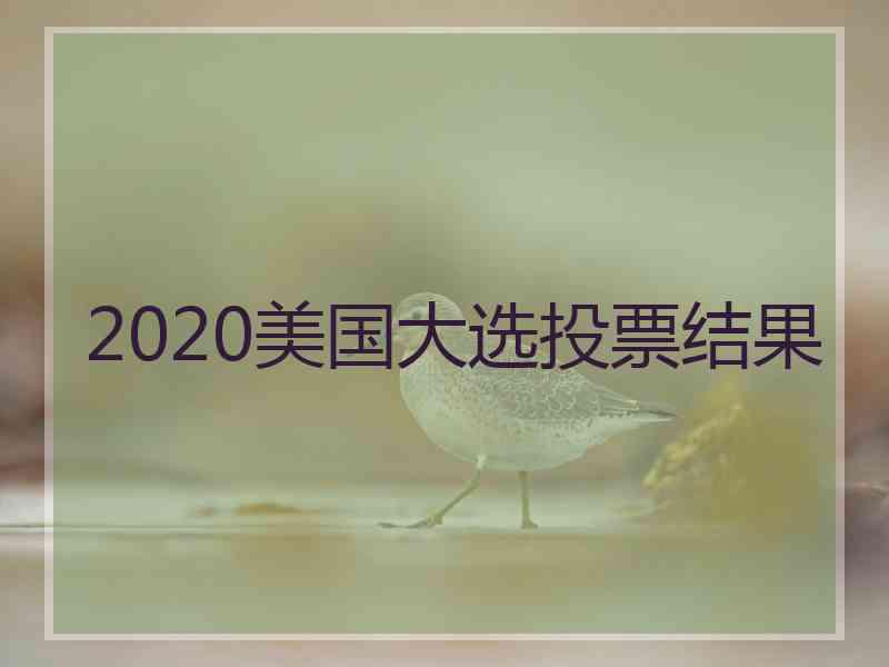2020美国大选投票结果