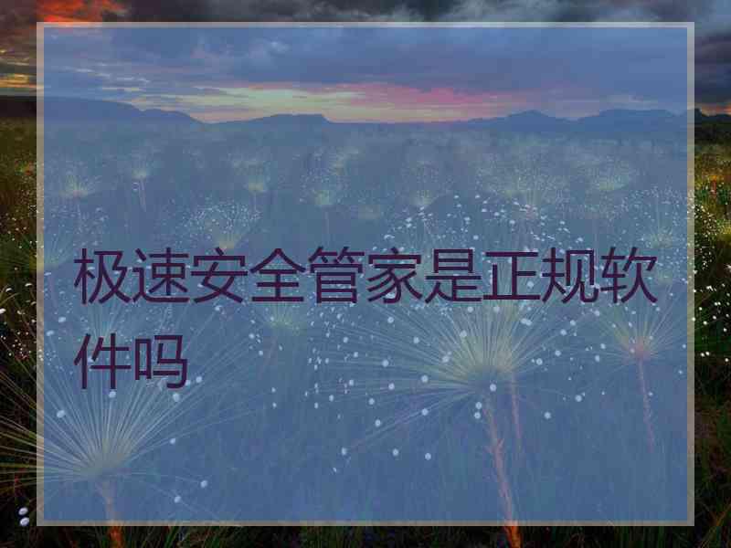 极速安全管家是正规软件吗