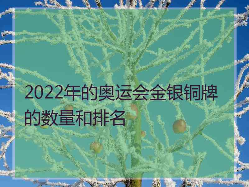2022年的奥运会金银铜牌的数量和排名
