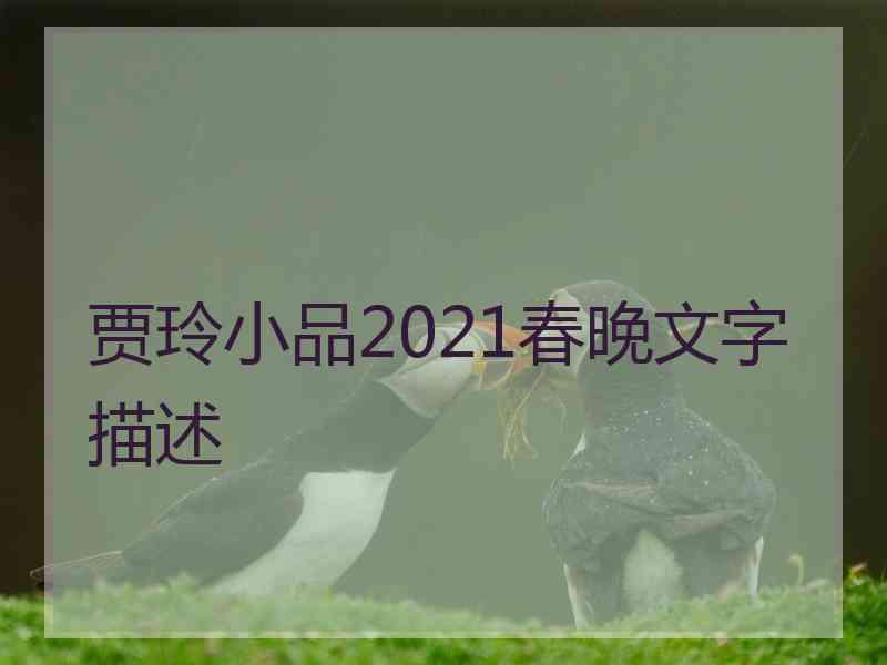 贾玲小品2021春晚文字描述