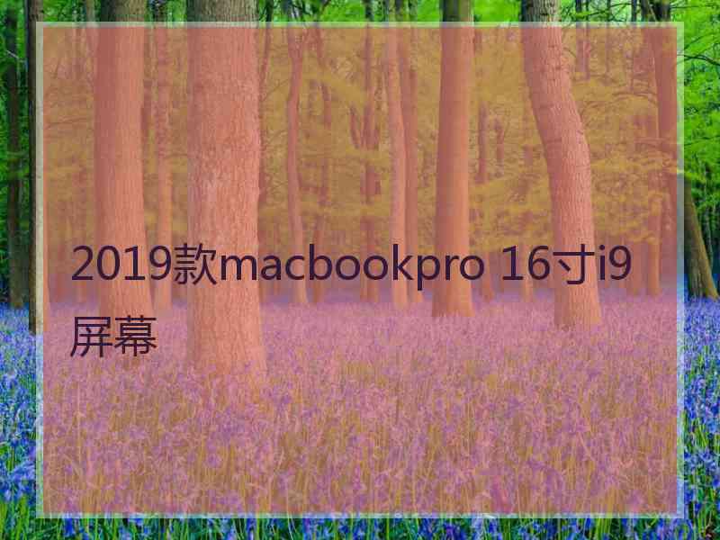 2019款macbookpro 16寸i9屏幕