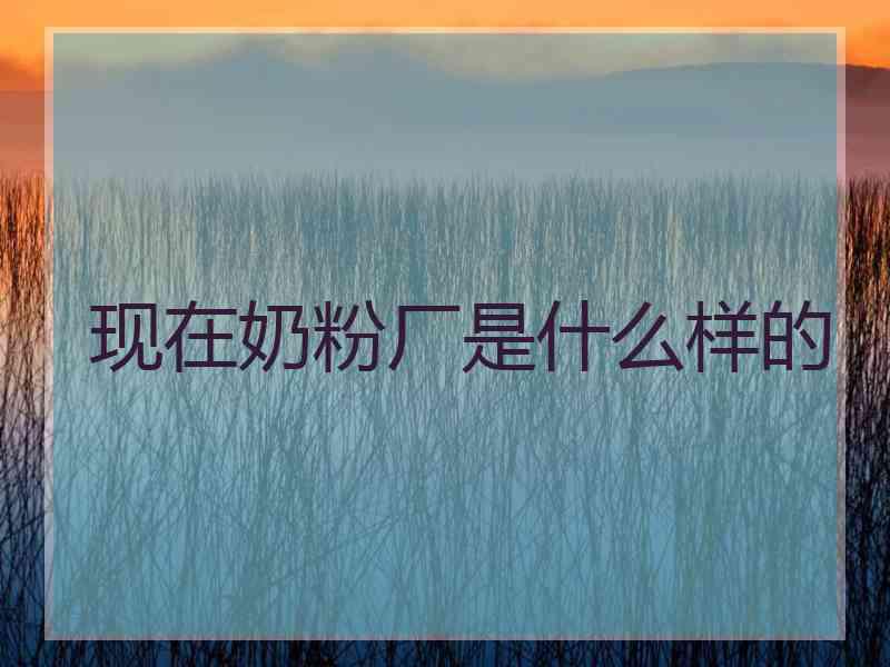 现在奶粉厂是什么样的