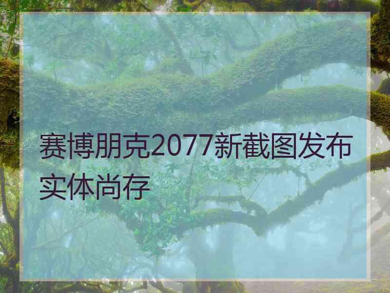 赛博朋克2077新截图发布实体尚存