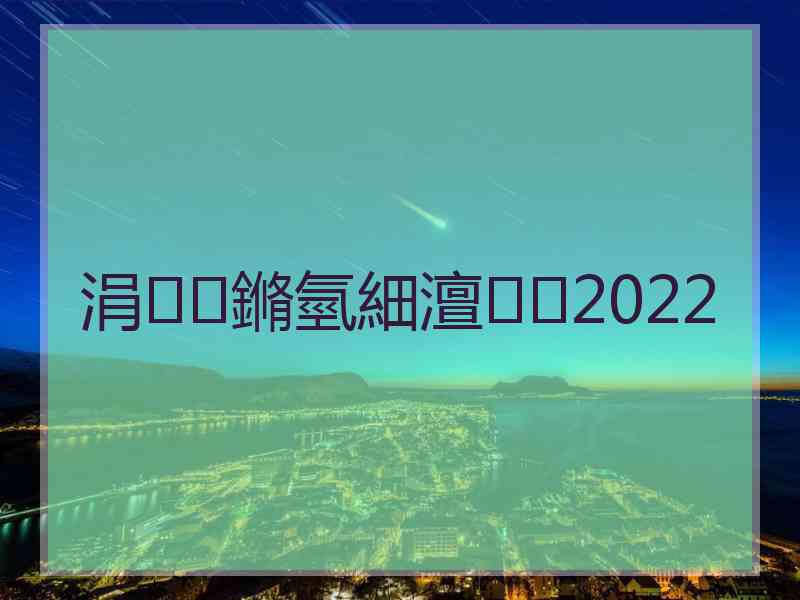 涓鏅氫細澶2022
