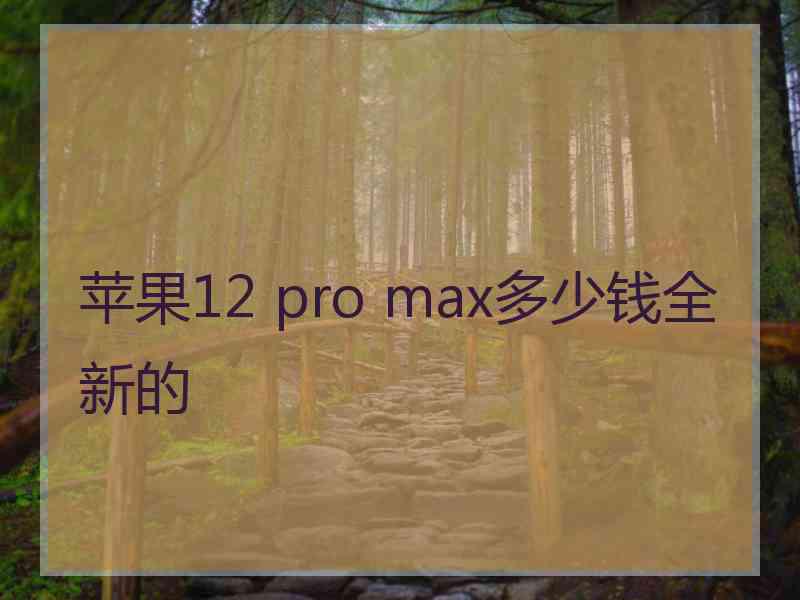 苹果12 pro max多少钱全新的