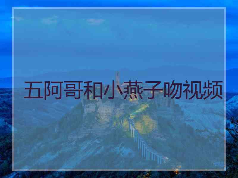 五阿哥和小燕子吻视频