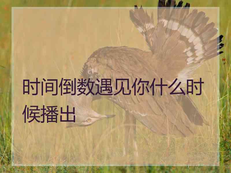 时间倒数遇见你什么时候播出