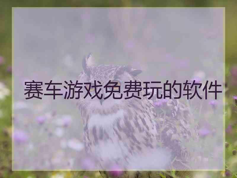 赛车游戏免费玩的软件