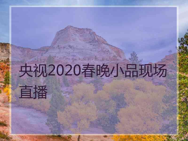 央视2020春晚小品现场直播