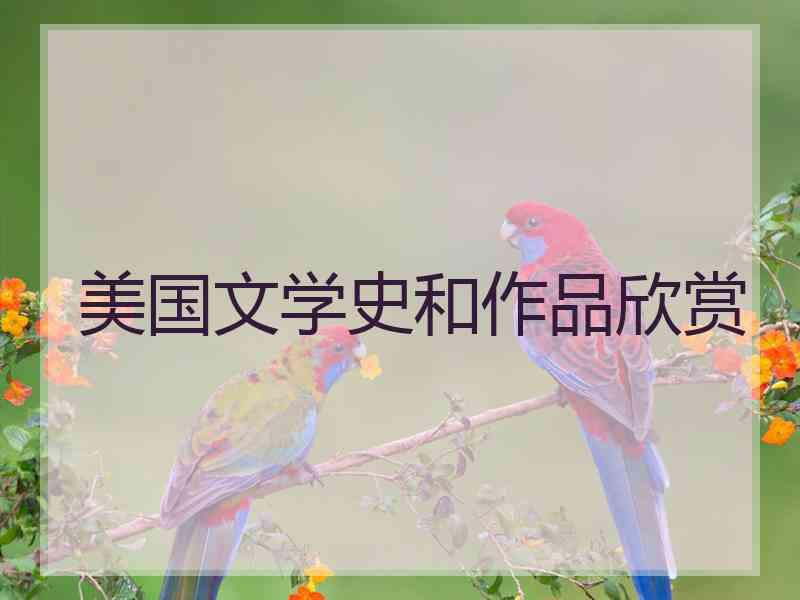 美国文学史和作品欣赏