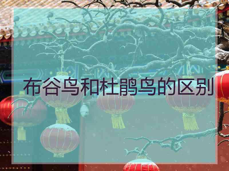 布谷鸟和杜鹃鸟的区别