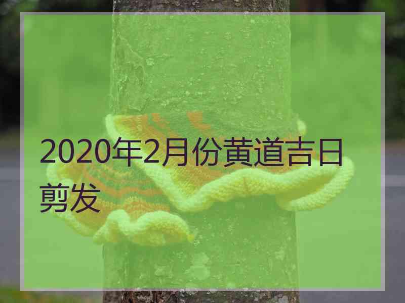 2020年2月份黄道吉日剪发