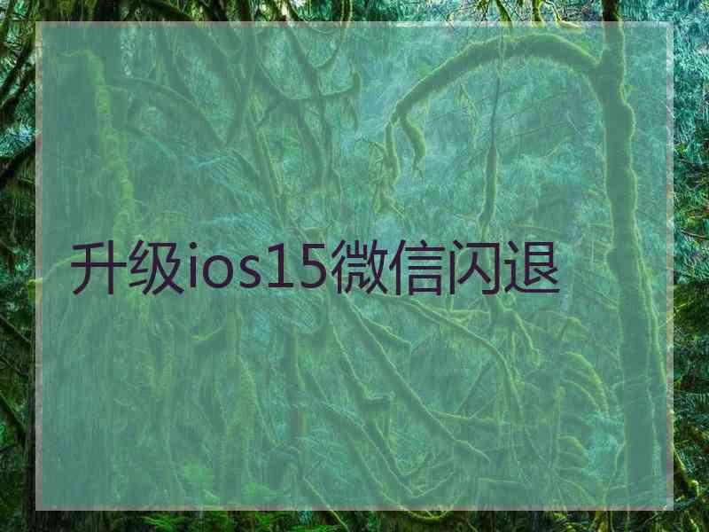 升级ios15微信闪退