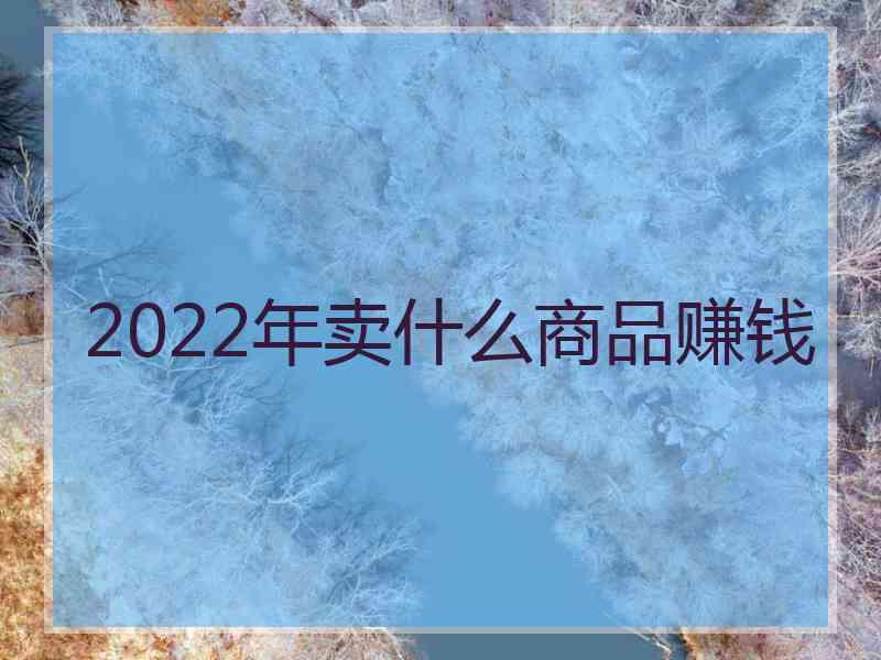 2022年卖什么商品赚钱