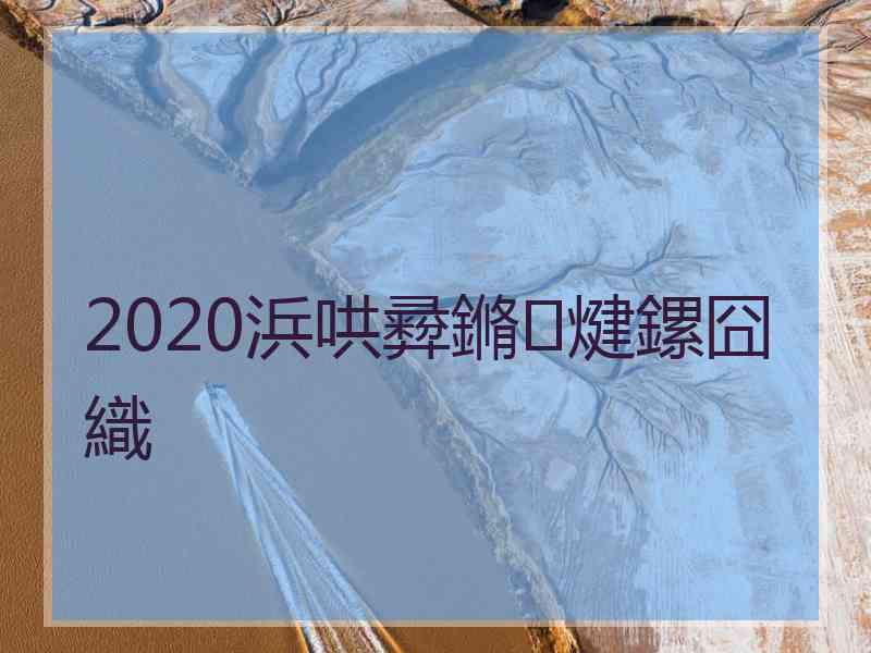 2020浜哄彛鏅煡鏍囧織