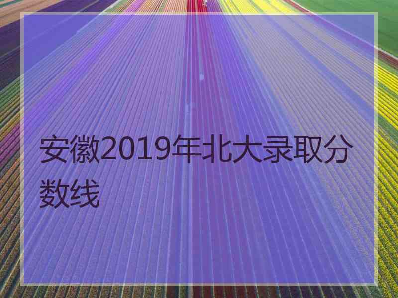 安徽2019年北大录取分数线