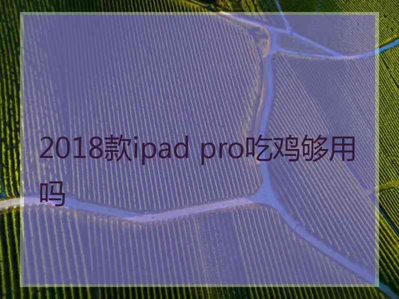 2018款ipad pro吃鸡够用吗