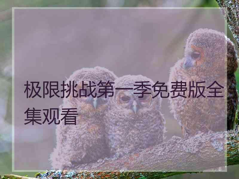 极限挑战第一季免费版全集观看