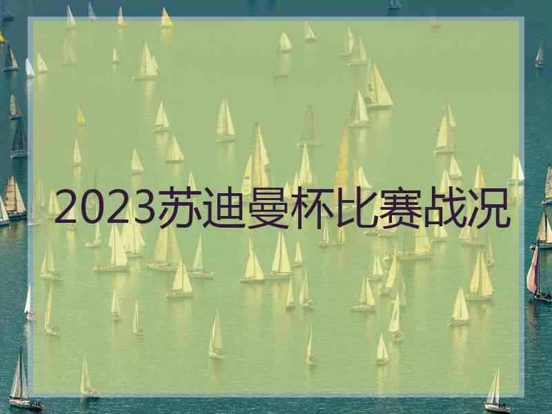 2023苏迪曼杯比赛战况