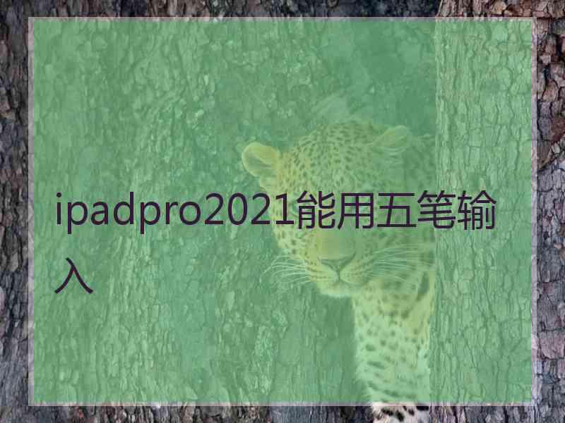 ipadpro2021能用五笔输入