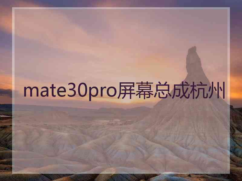 mate30pro屏幕总成杭州