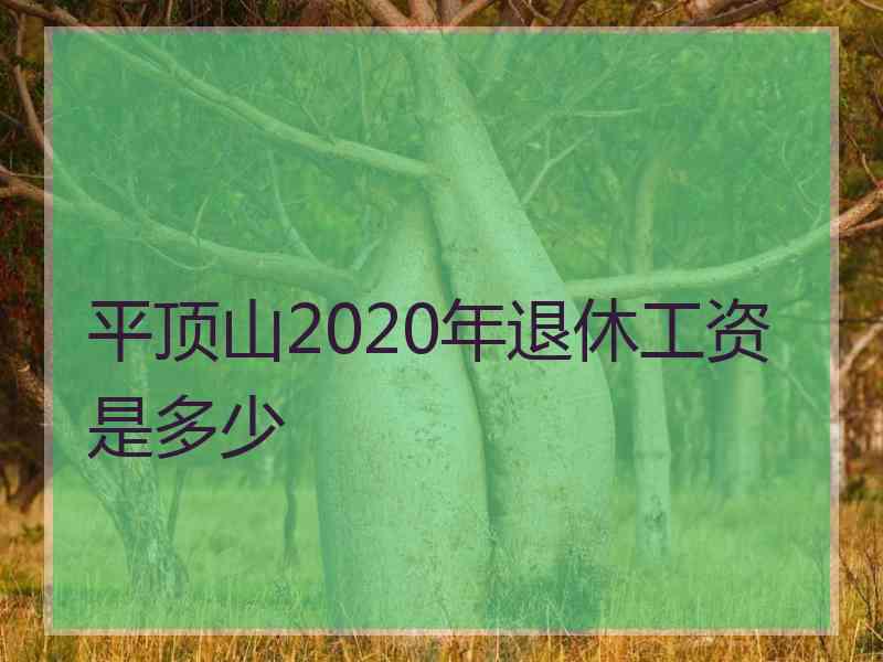 平顶山2020年退休工资是多少