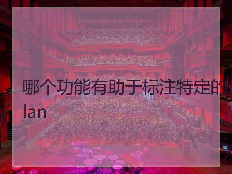 哪个功能有助于标注特定的vlan