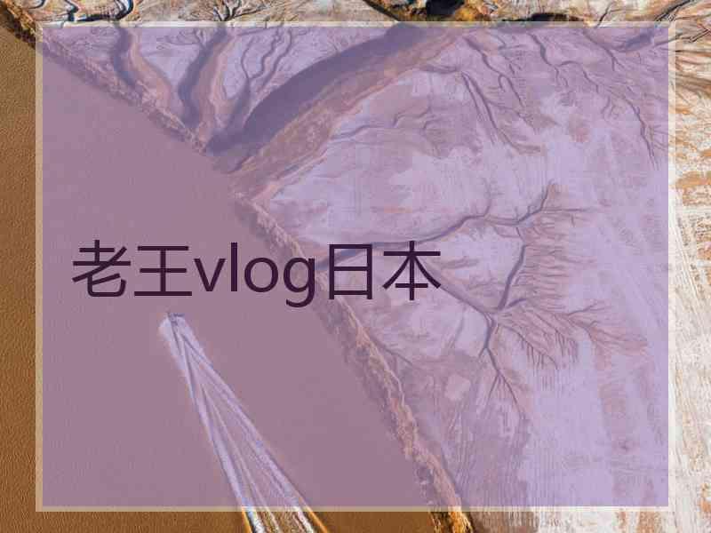 老王vlog日本