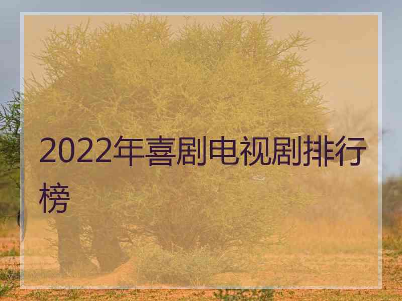 2022年喜剧电视剧排行榜