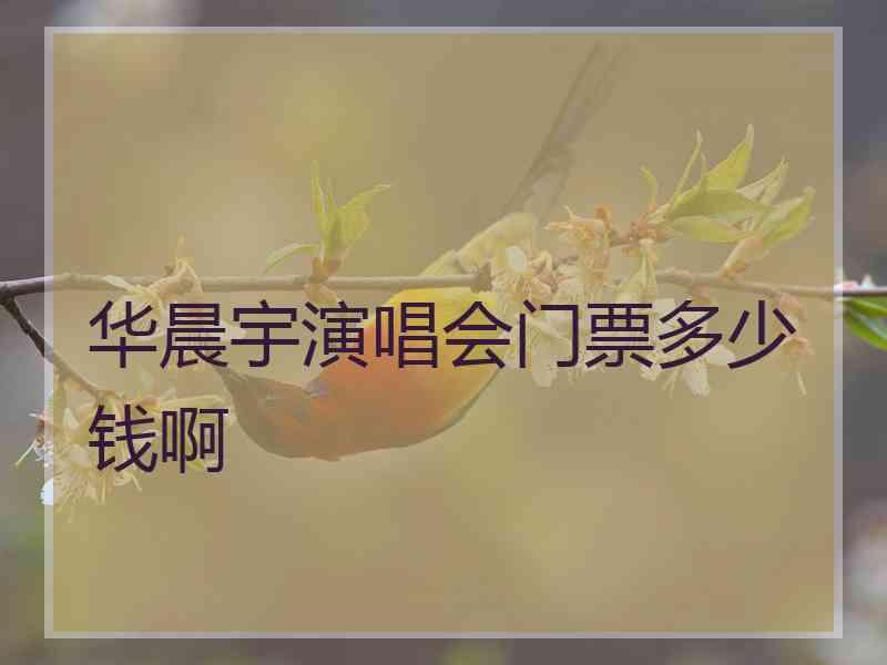 华晨宇演唱会门票多少钱啊