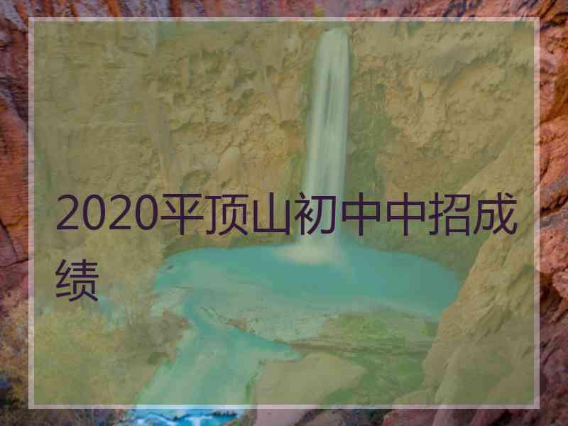 2020平顶山初中中招成绩