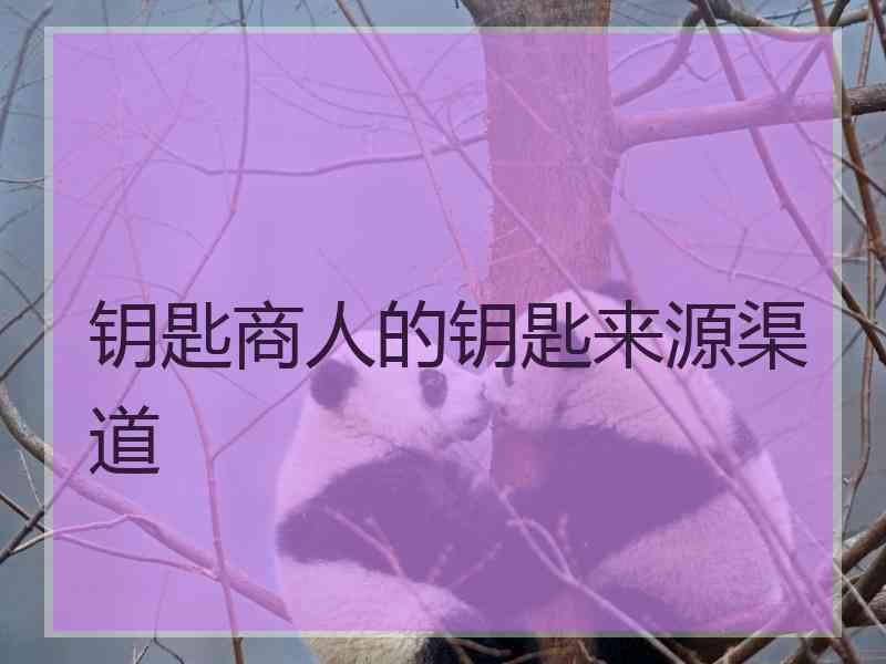 钥匙商人的钥匙来源渠道