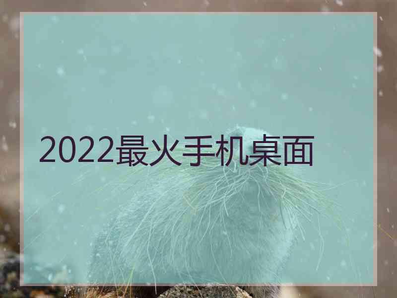 2022最火手机桌面