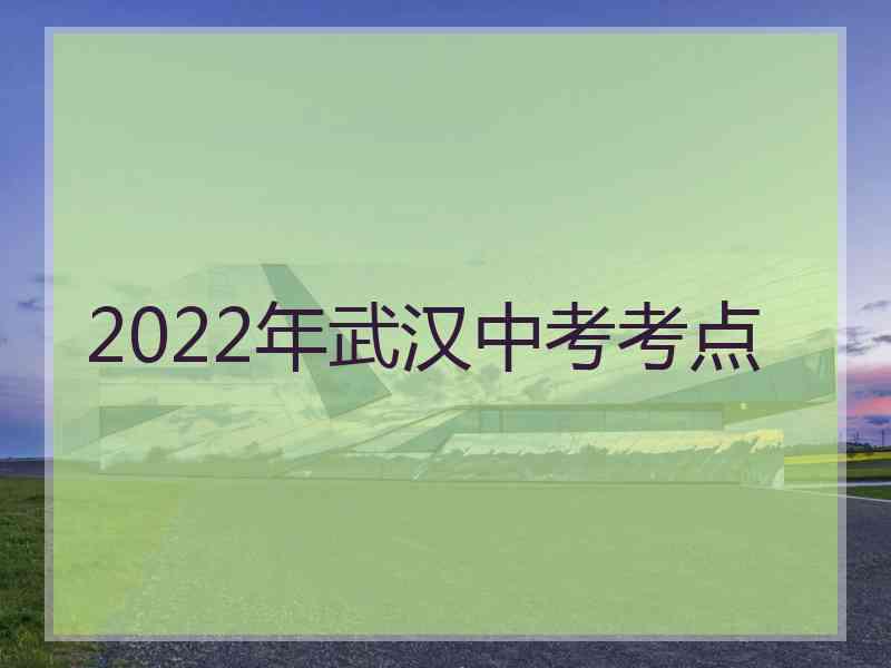 2022年武汉中考考点