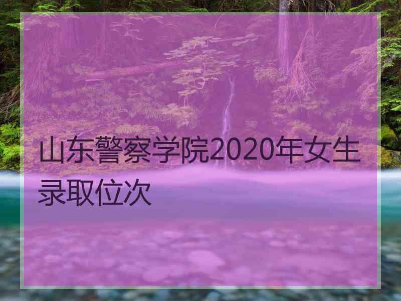 山东警察学院2020年女生录取位次