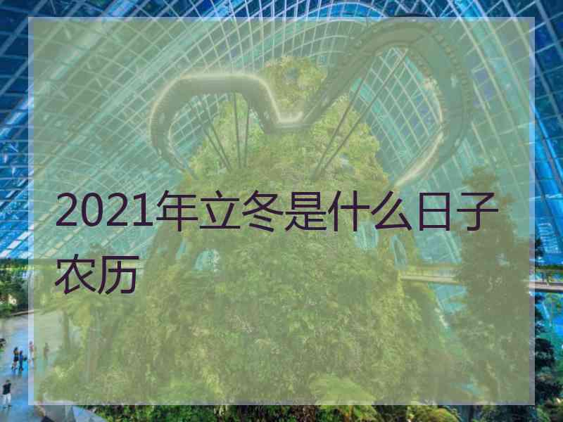 2021年立冬是什么日子农历