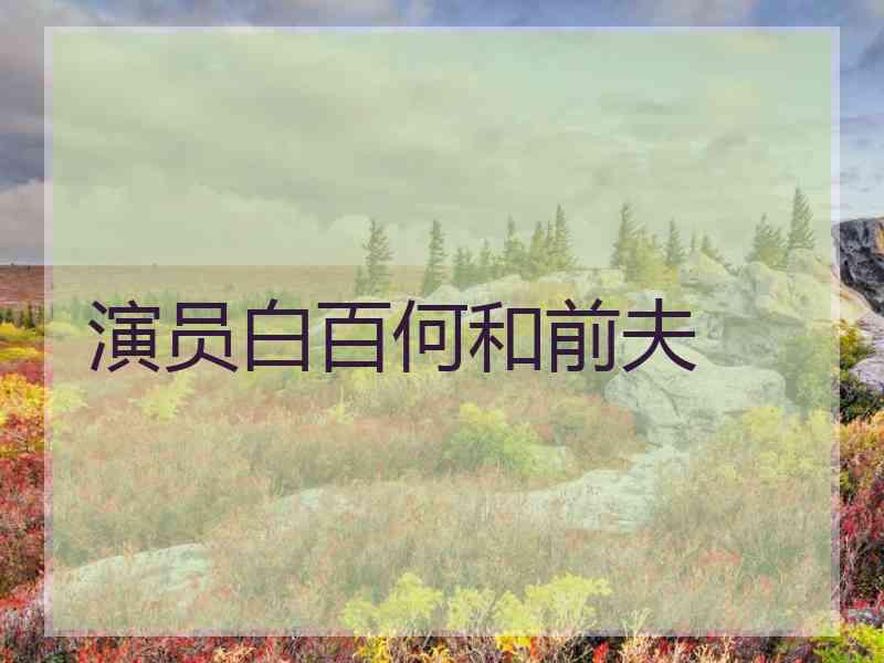 演员白百何和前夫
