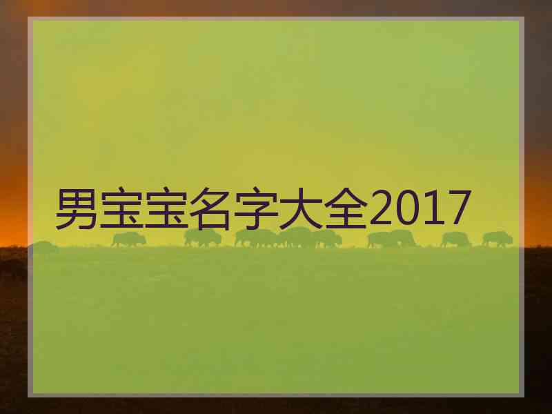 男宝宝名字大全2017