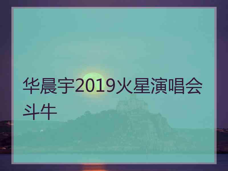 华晨宇2019火星演唱会斗牛