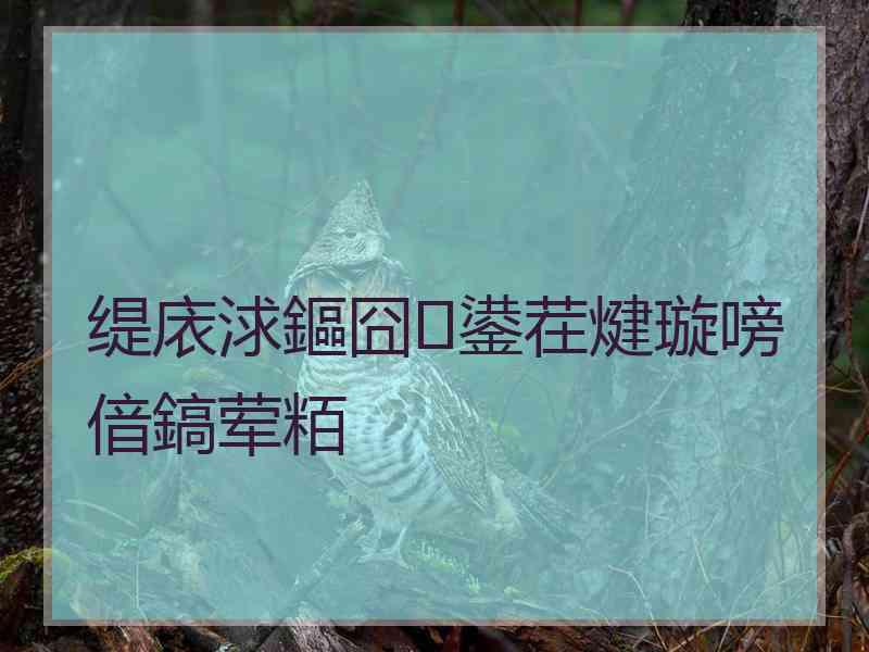 缇庡浗鏂囧鍙茬煡璇嗙偣鎬荤粨