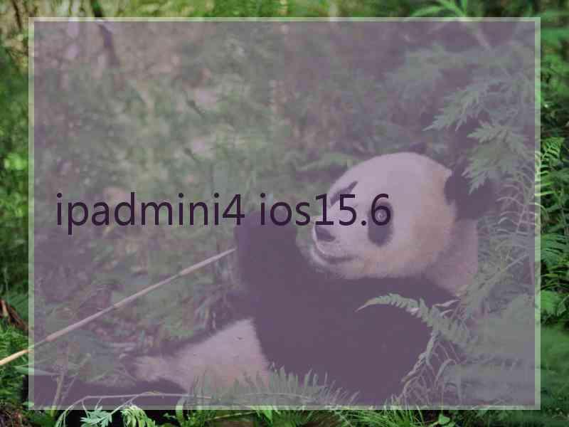 ipadmini4 ios15.6