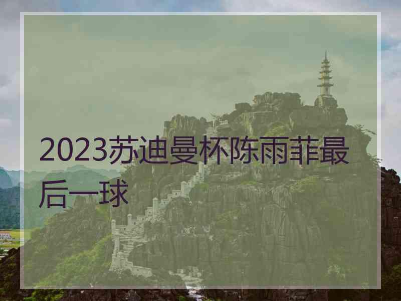 2023苏迪曼杯陈雨菲最后一球
