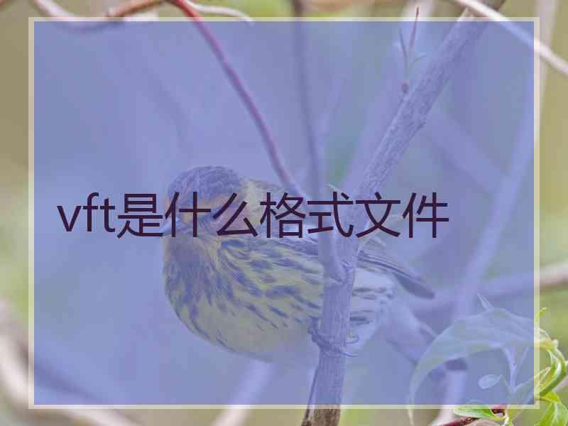 vft是什么格式文件