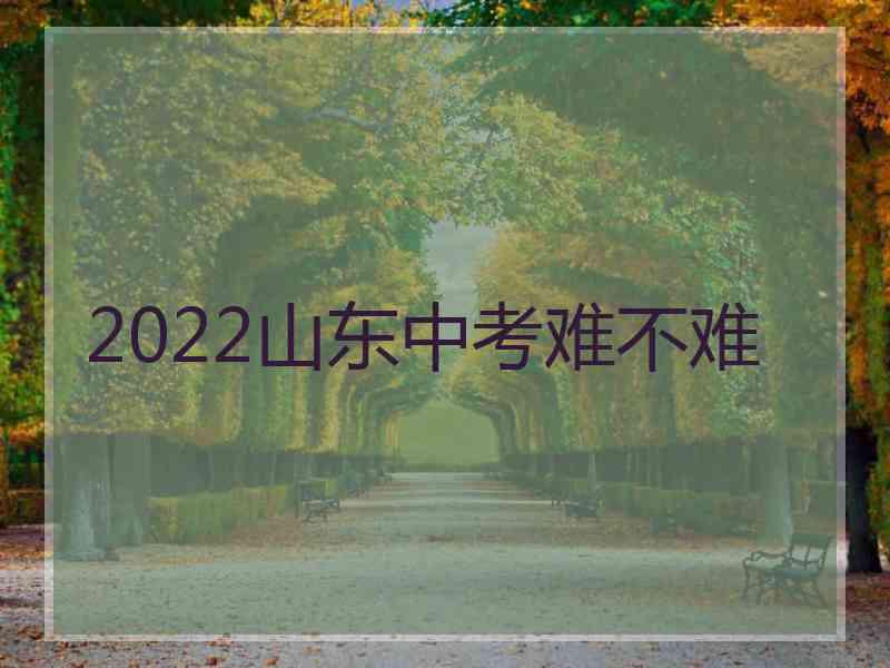 2022山东中考难不难