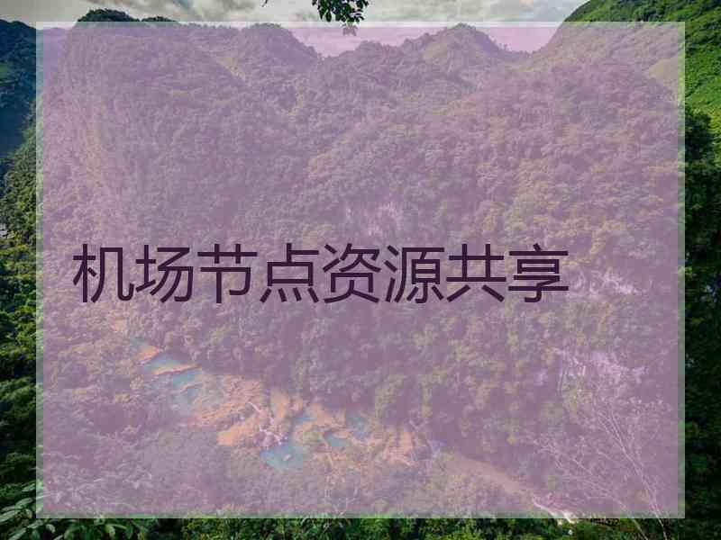 机场节点资源共享