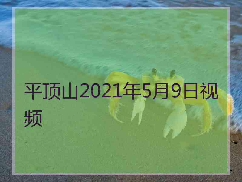 平顶山2021年5月9日视频