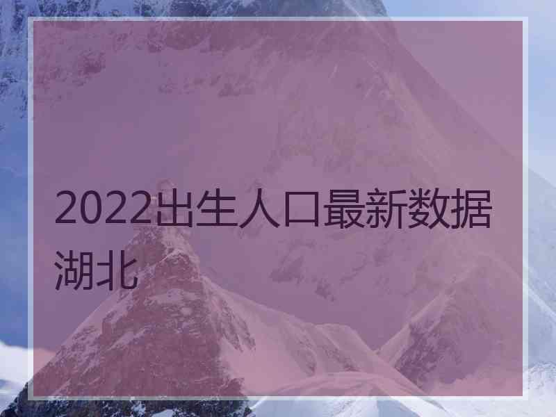 2022出生人口最新数据湖北