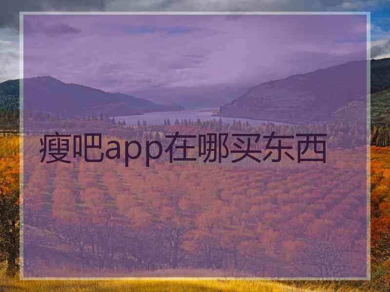 瘦吧app在哪买东西